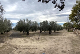 Caudete 15&nbsp;m²