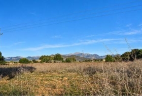 Llubí 18662&nbsp;m²