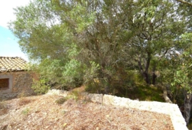 Llubí 18662&nbsp;m²