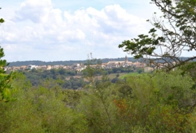 Llubí 18662&nbsp;m²
