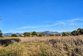 Llubí 18662&nbsp;m²