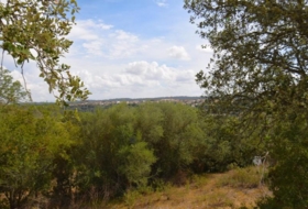 Llubí 18662&nbsp;m²