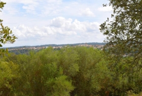 Llubí 18662&nbsp;m²
