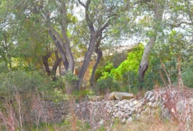 Llubí 18662&nbsp;m²