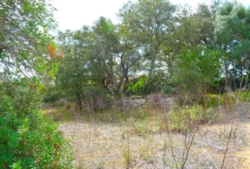 Llubí 18662&nbsp;m²