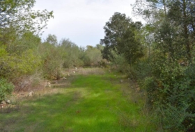 Llubí 18662&nbsp;m²