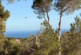 Altea 3534&nbsp;m²