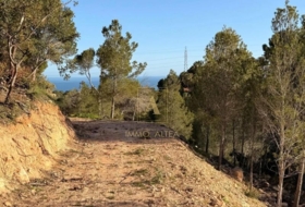 Altea 3534&nbsp;m²