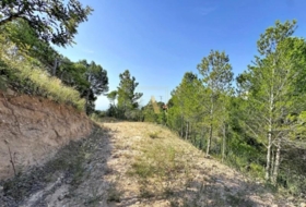 Altea 3534&nbsp;m²