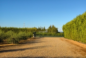 Lérida 219&nbsp;m²