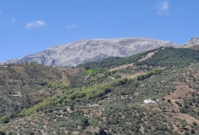 Foto 17