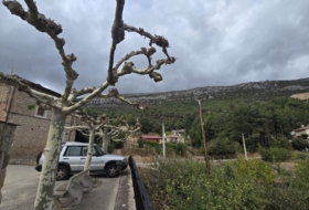 Rucandio 811&nbsp;m²
