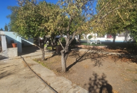 Утрера 1235&nbsp;м²