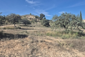 Cuevas del Almanzora 750&nbsp;m²