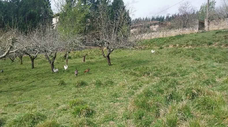 Biscaia - Gordejuela - 2441 m²
