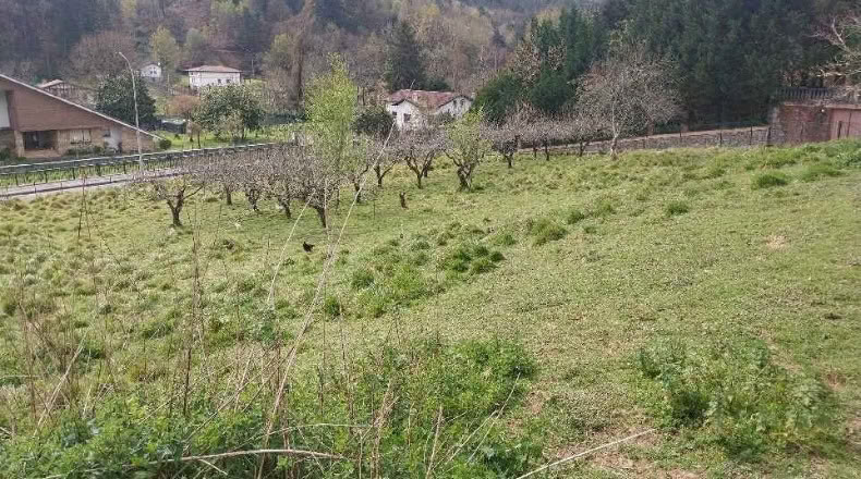 Biscaia - Gordejuela - 2441 m²