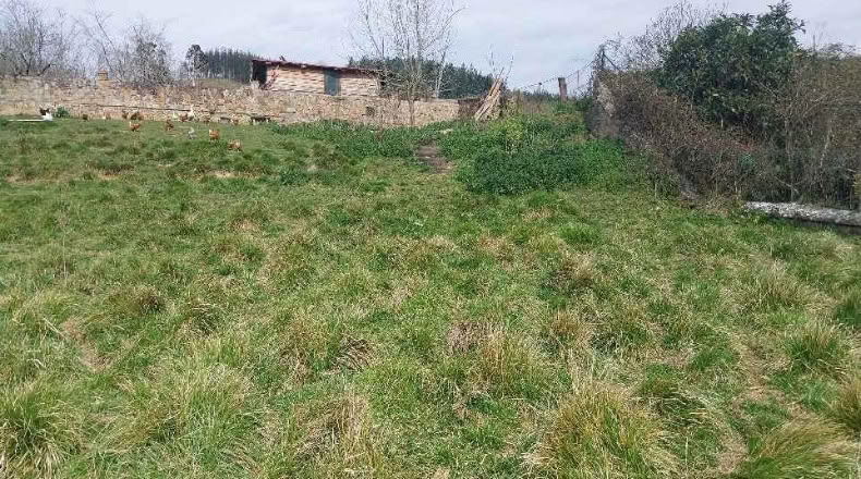 Biscaia - Gordejuela - 2441 m²