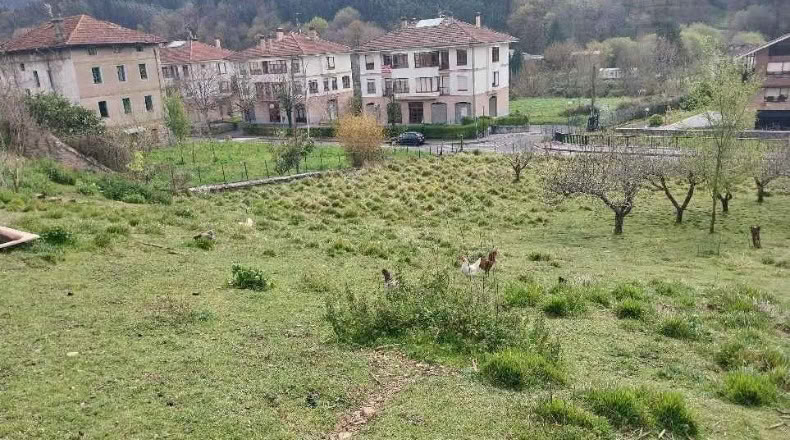 Biscaia - Gordejuela - 2441 m²