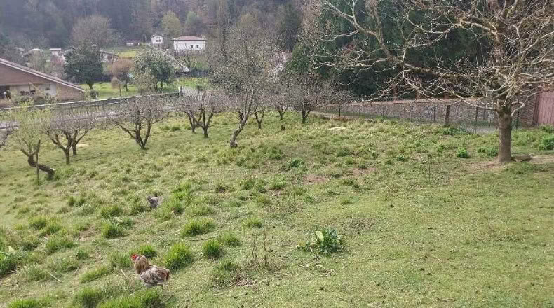 Biscaia - Gordejuela - 2441 m²