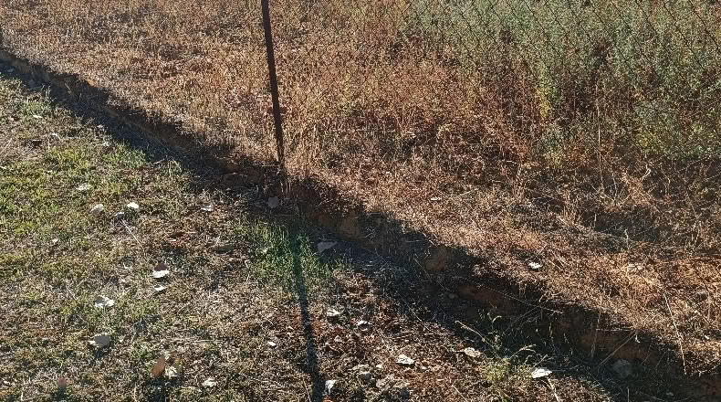 Badajoz - Badajoz - 5000 m²