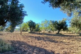 Calaceite 2648&nbsp;m²