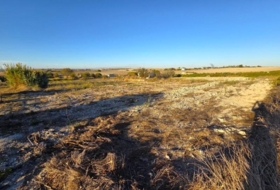 Chiclana de la Frontera 3353&nbsp;m²
