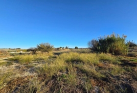 Chiclana de la Frontera 3353&nbsp;m²
