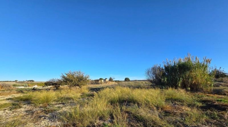 Cádiz - Chiclana de la Frontera - 3353 m²