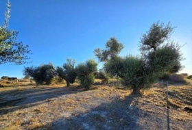 Chiclana de la Frontera 3353&nbsp;m²