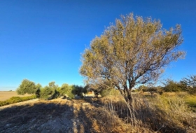 Chiclana de la Frontera 3353&nbsp;m²