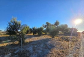 Chiclana de la Frontera 3353&nbsp;m²