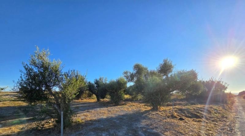 Cádiz - Chiclana de la Frontera - 3353 m²