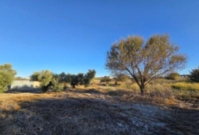 Chiclana de la Frontera 3353&nbsp;m²