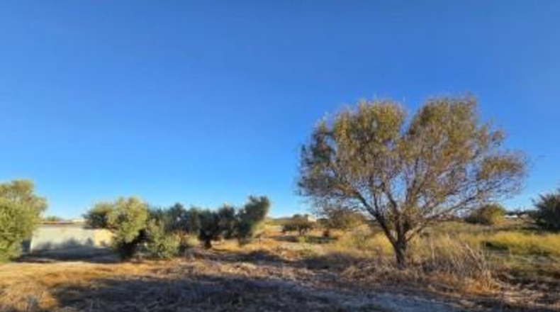 Cádiz - Chiclana de la Frontera - 3353 m²