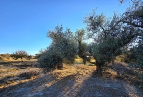 Chiclana de la Frontera 3353&nbsp;m²