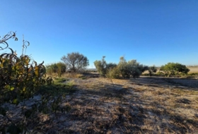 Chiclana de la Frontera 3353&nbsp;m²