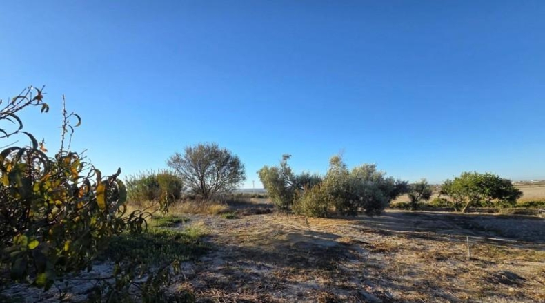 Cádiz - Chiclana de la Frontera - 3353 m²