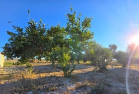 Chiclana de la Frontera 2235&nbsp;m²
