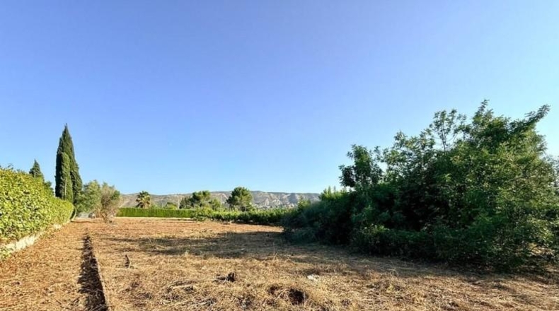 Аликанте - Педрегер - 1752 м²