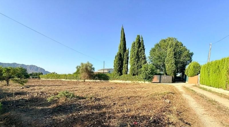 Аликанте - Педрегер - 1752 м²