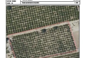 Elx 6671&nbsp;m² 