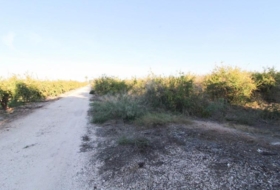 Elx 6671&nbsp;m² 