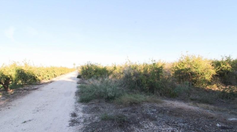 Alicante - Elx - 6671 m²