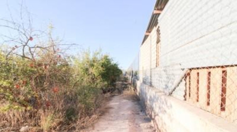 Alicante - Elx - 6671 m²