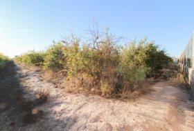 Elx 6671&nbsp;m² 