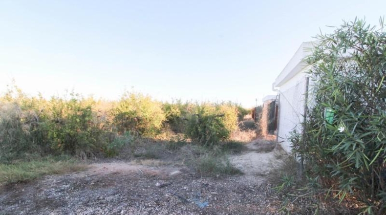 Alicante - Elx - 6671 m²