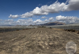 Monforte del Cid 7571&nbsp;m²