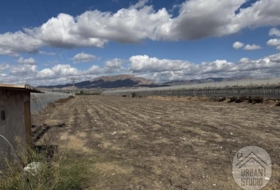 Monforte del Cid 7571&nbsp;m²