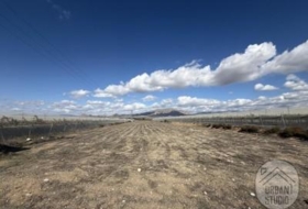 Monforte del Cid 7571&nbsp;m²
