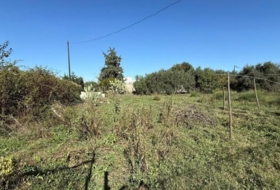 Murcia 1262&nbsp;m²